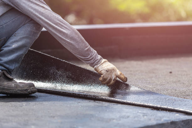 Professional Wet Basement Repair technician working in Monticello, IL